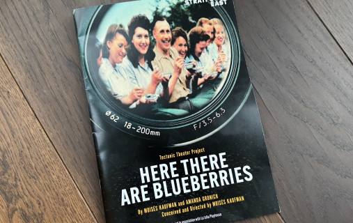 Here there are Blueberries-Programm Here there are Blueberries-Programm